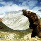 Image for article titled 35 Harrowing Man Vs Nature Movies, Ranked